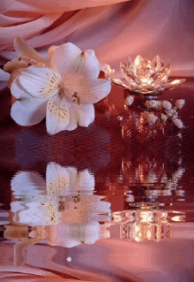 Flowers Ripples GIF - Flowers Ripples Water GIFs