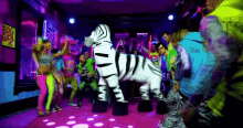 Cardano Zebra GIF - Cardano Zebra Dance GIFs