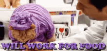 Will Work For Food Ready To Work GIF - Will Work For Food Ready To Work Ready For Work GIFs