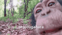 Monogatari Monkey Lick GIF
