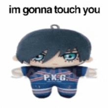 a stuffed doll with a blue shirt that says p.x.g. on it