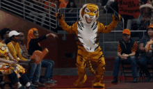 Tiger Dance Katy Perry GIF - Tiger Dance Katy Perry Swish Swish GIFs