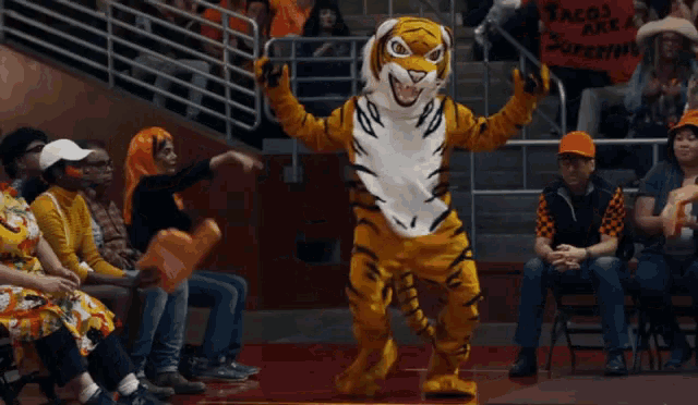 Tiger dance outlet costume