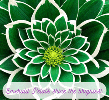 Emerald Petals GIF - Emerald Petals Emerald Petals GIFs