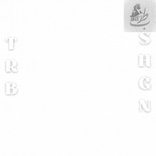 trb famely 's album cover shows a gray background and white letters