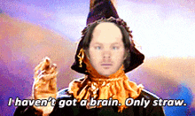 a picture of a scarecrow with the words i haven t got a brain only straw