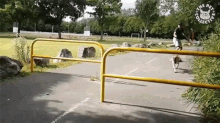 a person riding a skateboard in a park with a sticker that says the pet collection