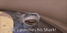 Gru Punches GIF - Gru Punches Shark GIFs
