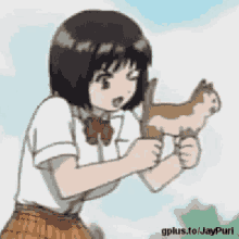 Cats Anime GIF
