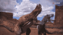 allosaurus tyrannosaurus rex roaring biting fighting