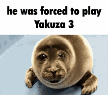 He Was Forced To Yakuza GIF
