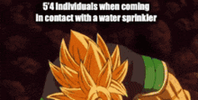 5 4 Individuals When Coming In Contact With A Water Sprinkler Broly GIF