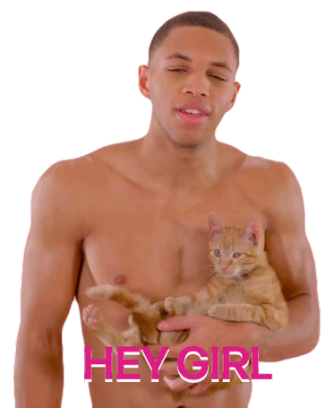 Hey Girl Hey Sticker - Hey Girl Hey Cat Stickers