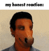 My Honest Reaction Yanderedev GIF - My Honest Reaction Yanderedev Horse GIFs