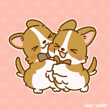 Corgi Dogs GIF - Corgi Dogs Hug GIFs