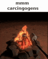 Carcinogens Mmm GIF - Carcinogens Mmm Marshmallow GIFs