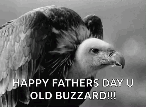 Happy Fathers Day Eagle GIF - Happy Fathers Day Eagle - Discover & Share  GIFs