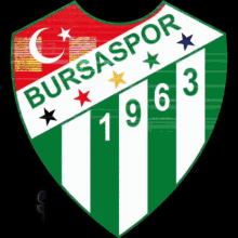 Bursaspor Bursasporum GIF - Bursaspor Bursasporum Sampiyon GIFs