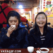 Fake Laugh Asian GIF - Fake Laugh Asian GIFs