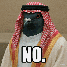 a picture of a pigeon wearing a keffiyeh and a robe with the word no on it