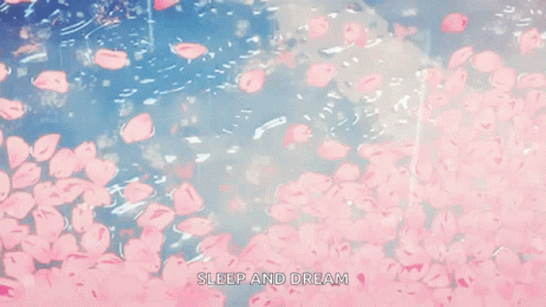 Petals Aesthetic GIF - Petals Aesthetic Anime - Discover & Share GIFs