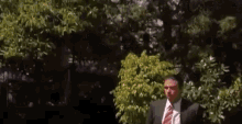 a man in a suit and tie is standing in a garden with trees in the background .