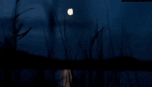 ночь луна GIF