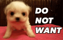 Do Not Want GIF - Donotwant Cute Dog GIFs
