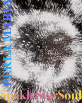 a picture of a fireworks display with the words sparklestar soul