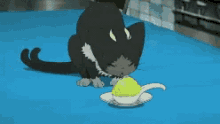 blue exorcist excited demon cat hungry food