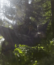 Swing On A Tree Wave GIF
