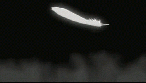 falling feathers gif