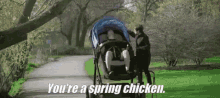 You'Re A Spring Chicken GIF - Spring Chicken Youre A Spring Chicken GIFs