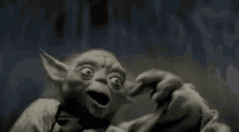 Lmao Yoda GIF - Lmao Yoda Laugh GIFs