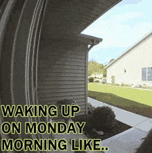 Monday Morning GIF - Monday Morning Mantis GIFs