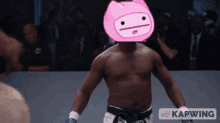 Tubby Tubby Cats GIF - Tubby Tubby Cats Black Belt GIFs