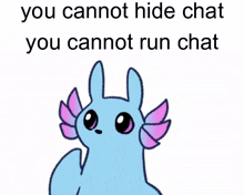 You Cannot Run Chat You Cannot Hide Chat GIF - You Cannot Run Chat You Cannot Hide Chat Rivulet GIFs