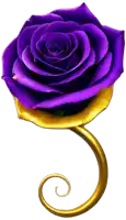 a purple rose with a gold swirl in the middle