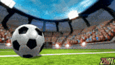 a soccer ball on a field with a zhot logo