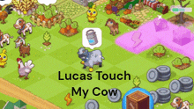 a lucas touch my cow game with a sheep and a milk can