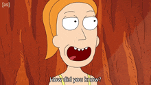 How Did You Know Summer GIF - How Did You Know Summer Rick And Morty GIFs