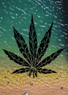Leaf Marijuana GIF - Leaf Marijuana Joint GIFs