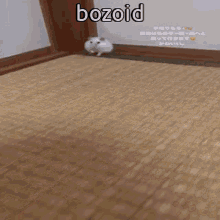 Animals With Captions Bozo GIF - Animals With Captions Bozo Bozoid GIFs