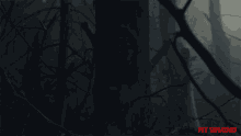 Tree Signs Clues GIF - Tree Signs Clues Hiding GIFs
