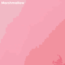 a glass filled with chocolate next to marshmallows on a pink background