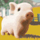 Pig GIF