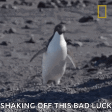Shaking My Head Continent7 GIF - Shaking My Head Continent7 Antarctica GIFs