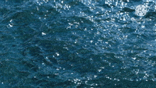 Ocean Waves GIF - Ocean Waves Ocean GIFs