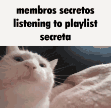 Servidor Secreto Music GIF - Servidor Secreto Music GIFs
