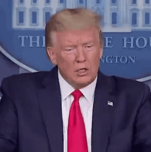 China Trump GIF - China Trump Donald - Discover & Share GIFs